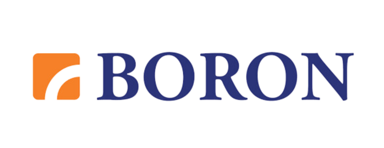 boron logo v1